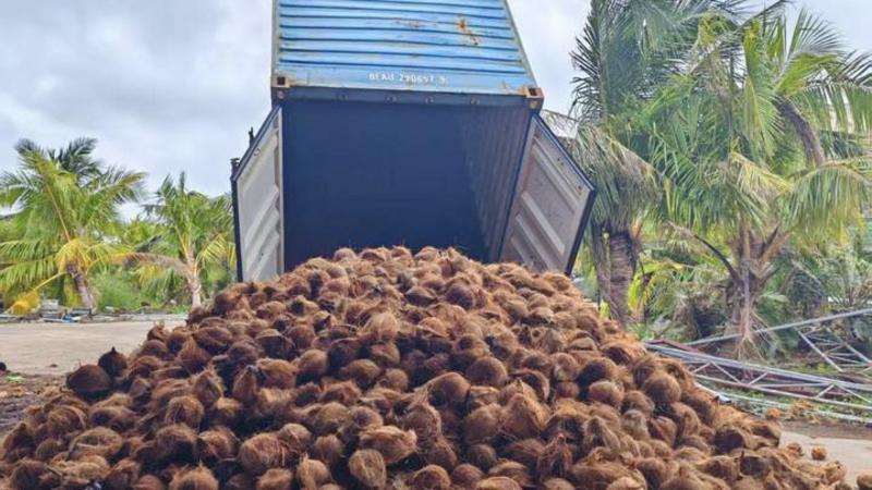 Nilai ekspor komoditas kelapa