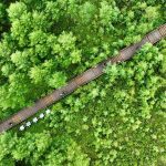 Tempat pembakaran berbentuk kuku