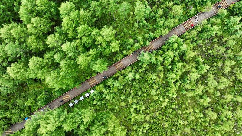 Tempat pembakaran berbentuk kuku
